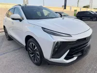 Nuova EVO Evo 6 167 CV (122 kW) 2026 Bianco SUV