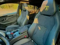 Usata Lamborghini Urus 666 CV (489 kW) 2024 Verde SUV