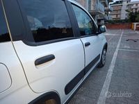 Usata Fiat Panda 70 CV (51 kW) 2023 Bianco Berlina