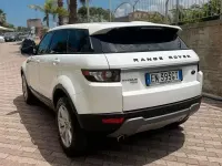 Usata Land Rover Range Rover evoque Dynamic 150 CV (110 kW) 2012 Bianco SUV