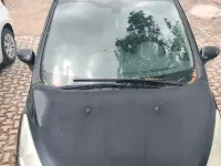 Usata Ford B-MAX 75 CV (55 kW) 2017 Monovolume