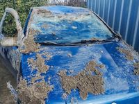 Usata Fiat Punto 2001 Blu Utilitaria