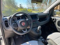 usata Fiat Panda Cross 4x4 0.9 TA MY 2021