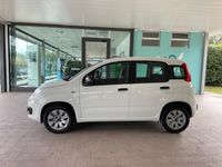 usata Fiat Panda 1.2 69cv S&S E6d-Temp Pop