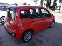 usata Fiat Panda 1.3 MJT 80 CV S