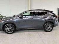 Usata Lexus NX450h+ 185 CV (136 kW) 2022 Grigio SUV