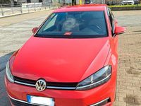 Usata VW Golf VII Business 110 CV (80 kW) 2018 Rosso Berlina
