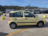 Usata Fiat Panda Dynamic 69 CV (50 kW) 2007 Utilitaria