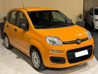 Usata Fiat Panda Easy 69 CV (50 kW) 2019 Other Utilitaria