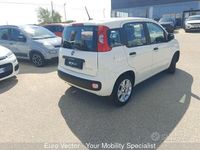 Usata Fiat Panda Launch Edition 69 CV (50 kW) 2020 Bianco Utilitaria