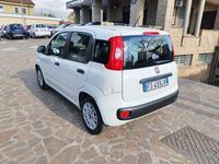 Usata Fiat Panda Easy 69 CV (50 kW) 2018 Utilitaria