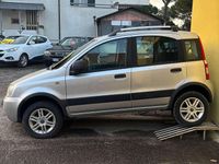 Usata Fiat Panda 4x4 69 CV (50 kW) 2010 Argento Utilitaria