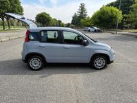 Usata Fiat Panda City Life 70 CV (51 kW) 2023 Grigio Utilitaria