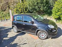 Usata Fiat Panda S 69 CV (50 kW) 2023 Nero Utilitaria