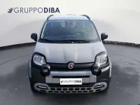 Usata Fiat Panda Cross Cross 86 CV (63 kW) 2021 Grigio Utilitaria