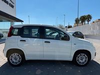 Usata Fiat Panda Easy 69 CV (50 kW) 2020 Bianco Utilitaria