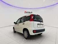 Nuova Fiat Panda Icon 69 CV (50 kW) 2025 Bianco Berlina