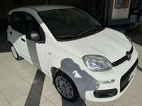 Usata Fiat Panda Easy 95 CV (69 kW) 2019 Bianco Utilitaria