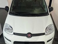 usata Fiat Panda CITY LIFE 1.0 70cv HYBRID