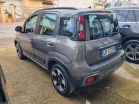Usata Fiat Panda Cross Cross 69 CV (50 kW) 2020 Grigio Utilitaria