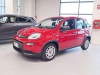 Usata Fiat Panda S 69 CV (50 kW) 2024 Rosso Utilitaria