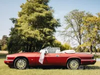 Usata Jaguar XJS 232 CV (170 kW) 1996 Rosso Cabrio