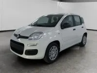 Nuova Fiat Panda Icon 70 CV (51 kW) 2025 Bianco Utilitaria