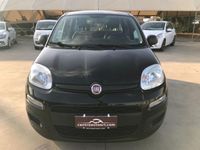 usata Fiat Panda 1.2 Easy