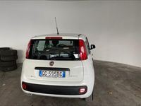 usata Fiat Panda Panda1.0 FireFly S&S Hybrid