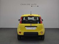 Nuova Fiat Panda Pop 69 CV (50 kW) 2025 Giallo Utilitaria