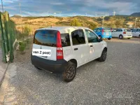 Usata Fiat Panda 60 CV (44 kW) 2008 Bianco Utilitaria