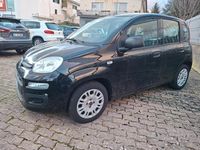 Usata Fiat Panda Easy 69 CV (50 kW) 2020 Nero Utilitaria