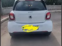 Usata Smart ForFour 71 CV (52 kW) 2014 Bianco Utilitaria