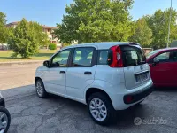 Usata Fiat Panda Easy 71 CV (52 kW) 2018 Bianco Utilitaria