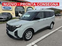 Nuova Ford Tourneo Courier Titanium 125 CV (91 kW) 2025 Cactus grey Monovolume