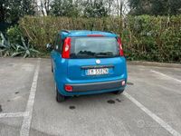 usata Fiat Panda Panda 1.3 MJT S&S Easy