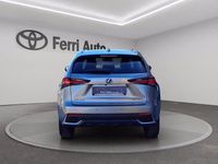 Usata Lexus NX300h 197 CV (144 kW) 2021 Sonic titanium SUV