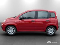Nuova Fiat Panda Icon 69 CV (50 kW) 2025 Rosso passione pastello rosso passione pastello Utilitaria