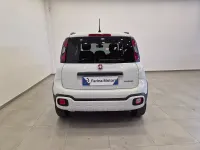 Usata Fiat Panda 69 CV (50 kW) 2024 Bianco Utilitaria