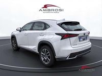Usata Lexus NX300h Executive Line 155 CV (114 kW) 2018 Bianco SUV