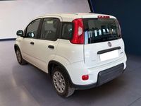 Usata Fiat Panda S 69 CV (50 kW) 2023 Bianco Utilitaria