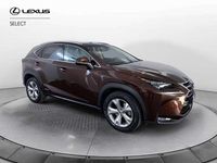 Usata Lexus NX300h Luxury Line 197 CV (144 kW) 2018 Marrone metallizzato SUV