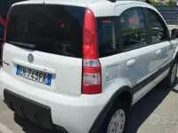 Usata Fiat Panda 4x4 Climbing 69 CV (50 kW) 2011 Bianco Utilitaria