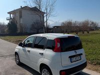 Usata Fiat Panda Easy 69 CV (50 kW) 2020 Utilitaria