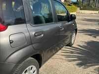 usata Fiat Panda 1.2 Easy 69cv