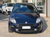 Usata Fiat Punto Lounge 75 CV (55 kW) 2014 Blu Utilitaria