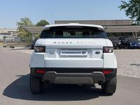 Usata Land Rover Range Rover evoque Dynamic 190 CV (139 kW) 2013 Bianco SUV