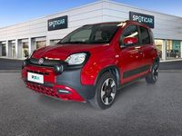 Usata Fiat Panda Cross Cross 70 CV (51 kW) 2024 Rosso Utilitaria