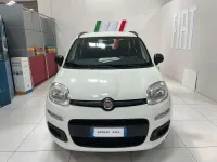 Usata Fiat Panda Easy 80 CV (58 kW) 2018 Bianco Utilitaria