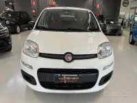 Usata Fiat Panda Easy 69 CV (50 kW) 2020 Bianco Utilitaria